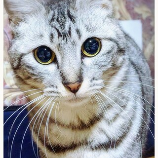 今度こそ永遠の幸せをつかめますように☘️