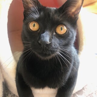 4/23稲毛海岸ෆ⃛おてんば女子ですෆ⃛てんちゃん