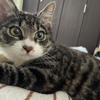 とっても元気で性格の良い男の子です♪♪