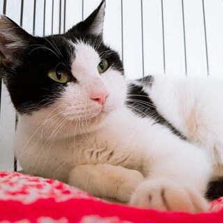 まん丸お顔のタロウくん♡