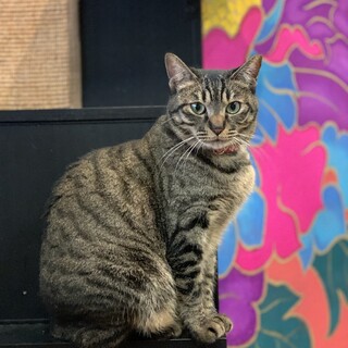 おもちゃ大好き☆あーちゃん