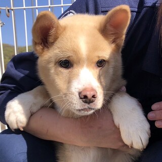 ありがとうございました！