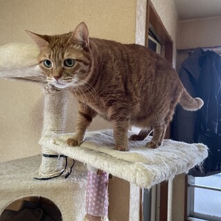 10歳ちびちゃん