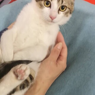 ピンクのお鼻の美人さん　すずめちゃん♡