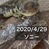 の写真