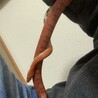 の写真