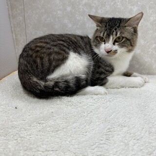 兄弟で幸せ探してここまで来ました‼️兄の左吉です