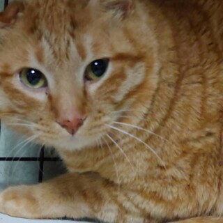 皆からの優しい声をいっぱい聞きたい、ムーチャ君