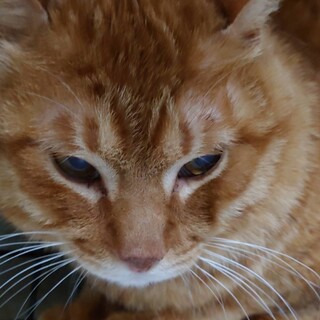 しっかり者に見えてほんとは沢山甘えたい…ナムチャ君