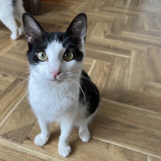 ゆったり、まったりな性格❗️初心者向き❤️美歩