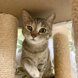 穏やか女子 ★ 瀬戸香