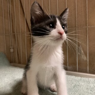 ヤンチャな5兄弟の頼れる兄貴！類くん1ヶ月半