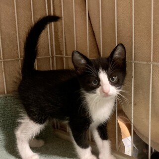 ヤンチャな5兄弟の弟分！怜くん1ヶ月半