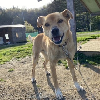 天真らんまんないつも笑顔のデール☆