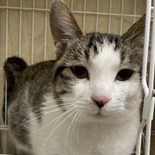 スリゴロ甘えん坊ないちろうくん