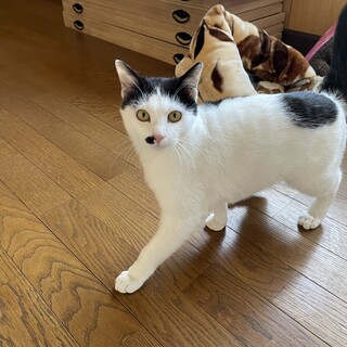 こう見えて優しい女の子です❣️