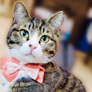 添い寝もするべっぴんさん！！【大阪市】