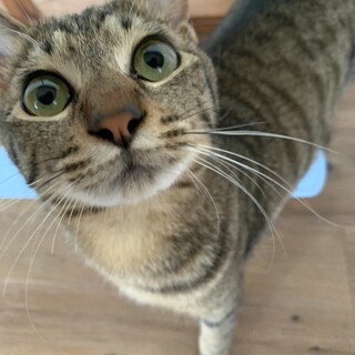 甘えん坊でごろごろのなぎくん