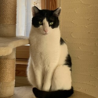 おっとり男子のこうくん