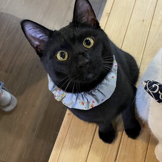 デレデレ抱っこもおんぶも大好き☆もくたん