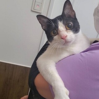 抱っこ大好き☆甘えん坊な男の子