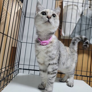 人懐っこいお姫ちゃん