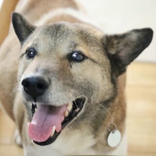 いそろく君に最後の幸せなお家を下さい！！