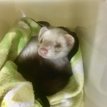 プロフィールにも書いているお気に入りの引き出しスペース