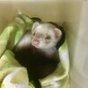 プロフィールにも書いているお気に入りの引き出しスペース