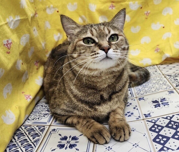 【4/23東日本橋】穏やかな女の子♥️あおばちゃん サムネイル2