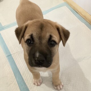 元気系女子『ちーちゃん』