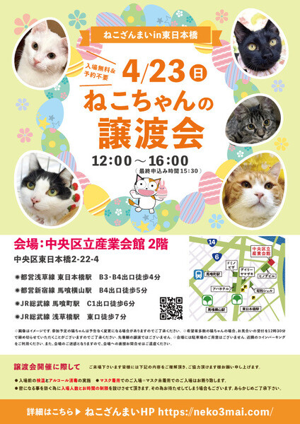 【4/23東日本橋】穏やかな女の子♥️あおばちゃん サムネイル7