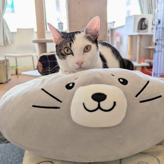 無邪気！元気！ソヌくん☆