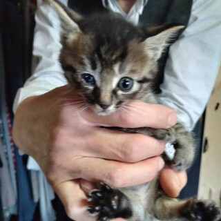 助けて下さい！！！