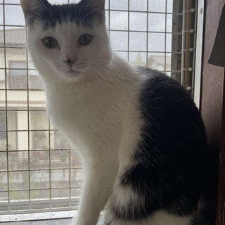 前髪ぱっつんにしました！！！ﾄﾞﾔｧ