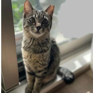 おっとりした女の子♡エルサちゃん