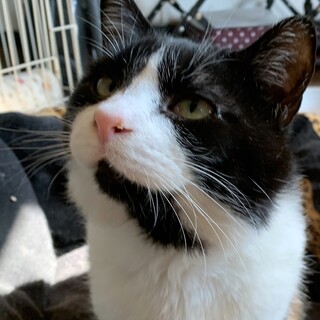 大きなお顔の甘えん坊さん「たくさん」(^^)