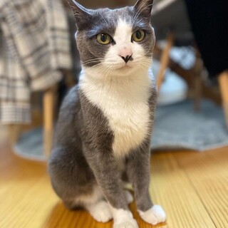 【4/23東銀座】小鞠ちゃん2歳♪