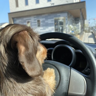動物病院の先生も看護師さんも、好き。