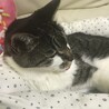 ももももーちっち