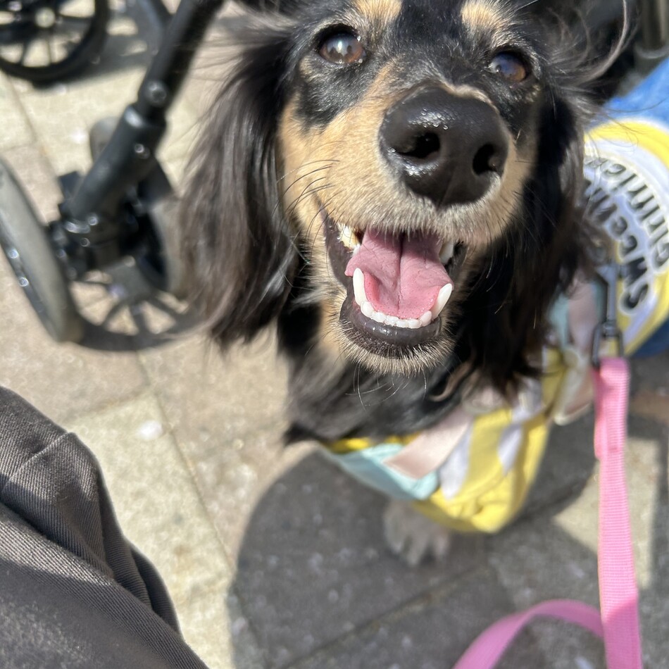 ミルのカバー写真