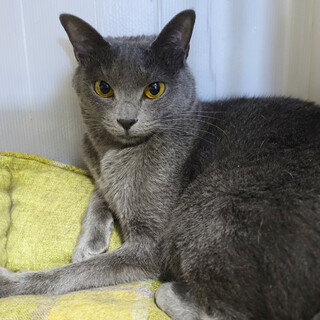 【4/23東日本橋】これから女子♡ロミーナちゃん