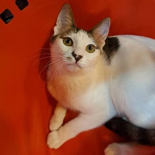 【4/23東日本橋】猛烈に親しく明るい♥️ぼくくん