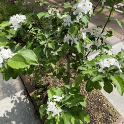 「ユズコさん、順調に体重増やす」サムネイル2