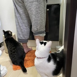 「ユズコさん、順調に体重増やす」サムネイル3