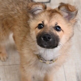 セラちゃん❣️