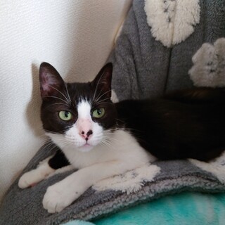 有難う御座いました☻