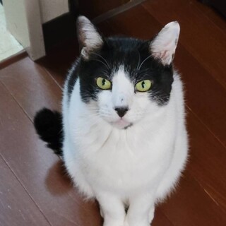 優しくて甘えん坊でおっとりさん★ふうくん