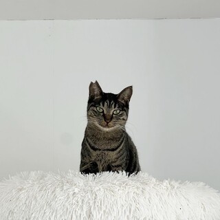 ♦性格花丸の男の子♦