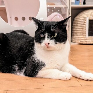 のんびり遊ぼうビリーくん♪